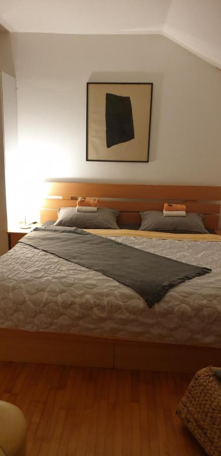 Apartments Bikica Vrnjačka Banja Eksteriør bilde