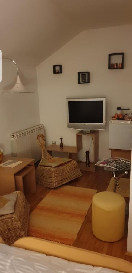 Apartments Bikica Vrnjačka Banja Eksteriør bilde